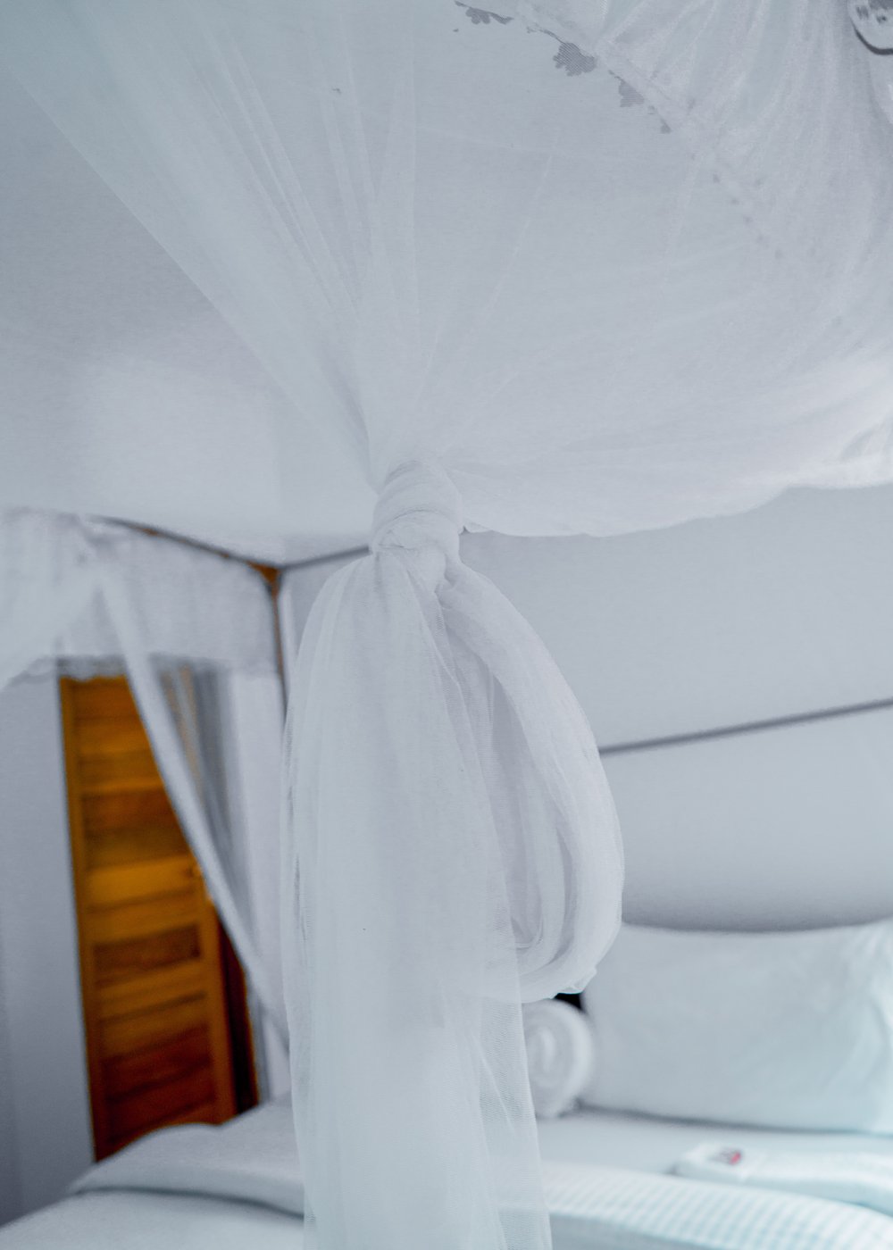 Elegant Mosquito Net Detail